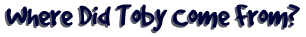 [Where Did Toby Come From?]